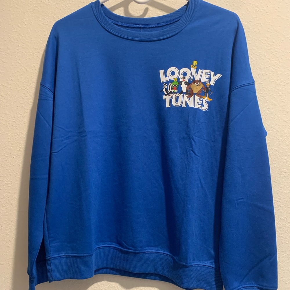 Size Small Blue Looney Tunes Sweatshirt “That’s All Folks”